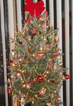 2014 christmas tree 016